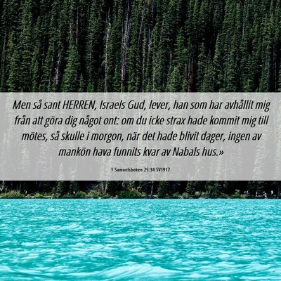 Picture 06 - 1 Samuelsboken 25:34 SV1917 - Men så sant HERREN, Israels Gud, lever, han som - Bible Verse Picture