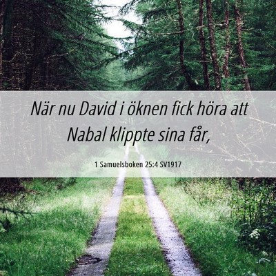 Picture 06 - 1 Samuelsboken 25:4 SV1917 - När nu David i öknen fick höra att Nabal - Bible Verse Picture