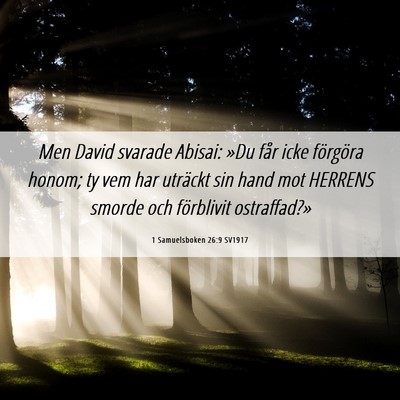 Picture 06 - 1 Samuelsboken 26:9 SV1917 - Men David svarade Abisai: »Du får icke - Bible Verse Picture