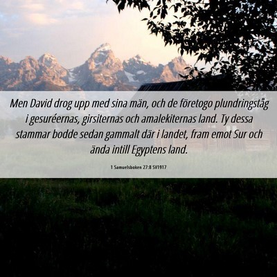 Picture 06 - 1 Samuelsboken 27:8 SV1917 - Men David drog upp med sina män, och de - Bible Verse Picture