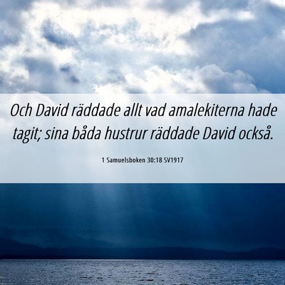 Picture 06 - 1 Samuelsboken 30:18 SV1917 - Och David räddade allt vad amalekiterna hade - Bible Verse Picture