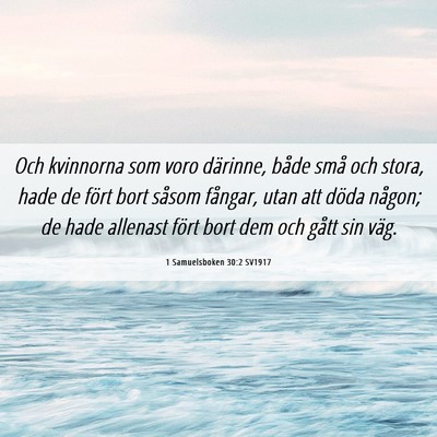 Picture 06 - 1 Samuelsboken 30:2 SV1917 - Och kvinnorna som voro därinne, både små och - Bible Verse Picture