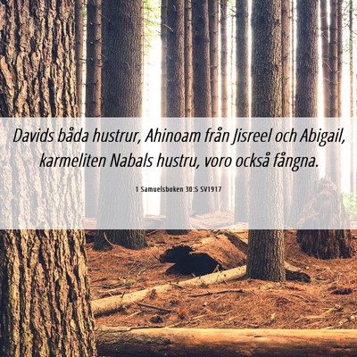 Picture 06 - 1 Samuelsboken 30:5 SV1917 - Davids båda hustrur, Ahinoam från Jisreel och - Bible Verse Picture
