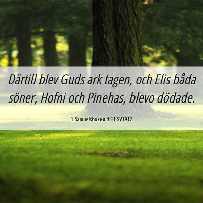 Picture 06 - 1 Samuelsboken 4:11 SV1917 - Därtill blev Guds ark tagen, och Elis båda - Bible Verse Picture