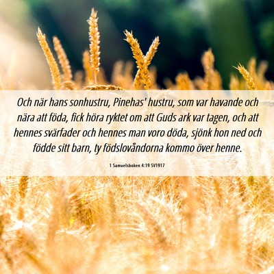 Picture 06 - 1 Samuelsboken 4:19 SV1917 - Och när hans sonhustru, Pinehas' hustru, som var - Bible Verse Picture