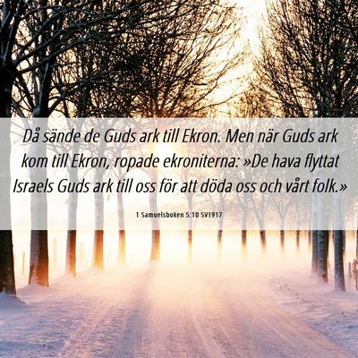 Picture 06 - 1 Samuelsboken 5:10 SV1917 - Då sände de Guds ark till Ekron. Men när Guds - Bible Verse Picture