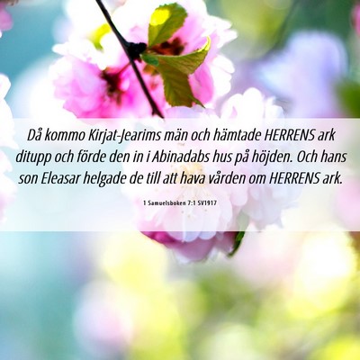 Picture 06 - 1 Samuelsboken 7:1 SV1917 - Då kommo Kirjat-Jearims män och hämtade - Bible Verse Picture
