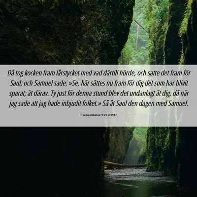 Picture 06 - 1 Samuelsboken 9:24 SV1917 - Då tog kocken fram lårstycket med vad därtill - Bible Verse Picture