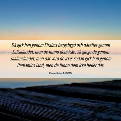Picture 06 - 1 Samuelsboken 9:4 SV1917 - Då gick han genom Efraims bergsbygd och - Bible Verse Picture