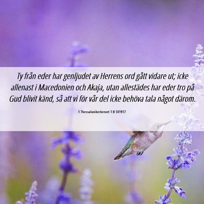 Picture 06 - 1 Thessalonikerbrevet 1:8 SV1917 - Ty från eder har genljudet av Herrens ord gått - Bible Verse Picture