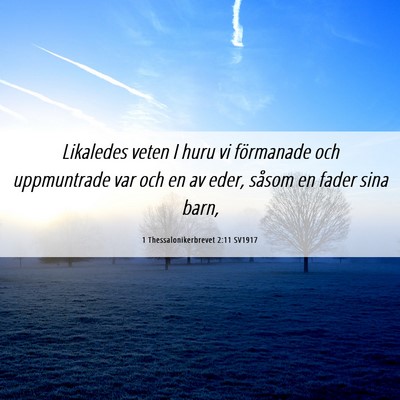 Picture 06 - 1 Thessalonikerbrevet 2:11 SV1917 - Likaledes veten I huru vi förmanade och - Bible Verse Picture