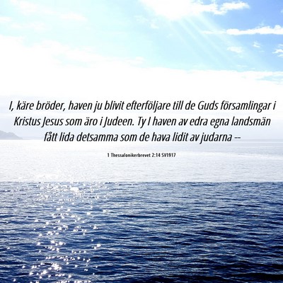 Picture 06 - 1 Thessalonikerbrevet 2:14 SV1917 - I, käre bröder, haven ju blivit efterföljare - Bible Verse Picture