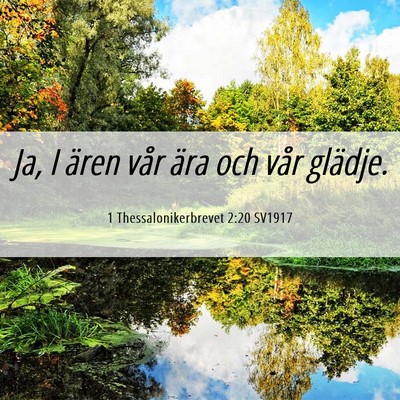 Picture 06 - 1 Thessalonikerbrevet 2:20 SV1917 - Ja, I ären vår ära och vår - Bible Verse Picture