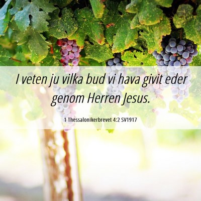 Picture 06 - 1 Thessalonikerbrevet 4:2 SV1917 - I veten ju vilka bud vi hava givit eder genom - Bible Verse Picture