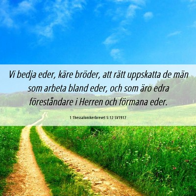 Picture 06 - 1 Thessalonikerbrevet 5:12 SV1917 - Vi bedja eder, käre bröder, att rätt uppskatta - Bible Verse Picture