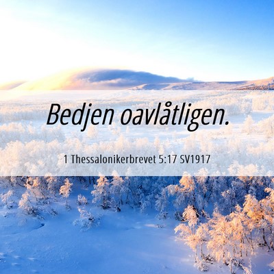 Picture 06 - 1 Thessalonikerbrevet 5:17 SV1917 - Bedjen - Bible Verse Picture