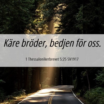 Picture 06 - 1 Thessalonikerbrevet 5:25 SV1917 - Käre bröder, bedjen för - Bible Verse Picture