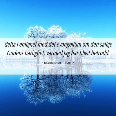 Picture 06 - 1 Timotheosbrevet 1:11 SV1917 - detta i enlighet med det evangelium om den salige - Bible Verse Picture