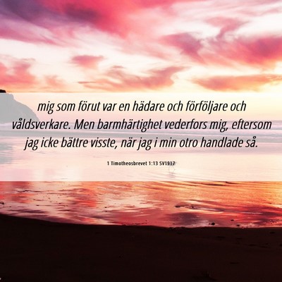 Picture 06 - 1 Timotheosbrevet 1:13 SV1917 - mig som förut var en hädare och förföljare - Bible Verse Picture