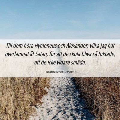 Picture 06 - 1 Timotheosbrevet 1:20 SV1917 - Till dem höra Hymeneus och Alexander, vilka jag - Bible Verse Picture