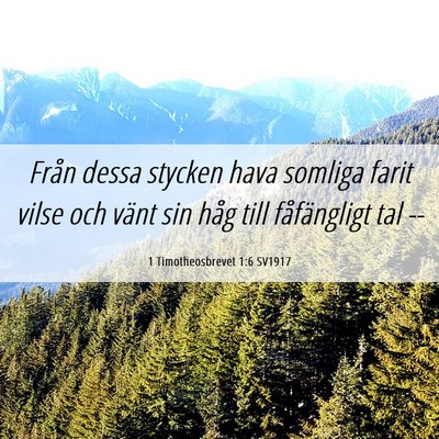 Picture 06 - 1 Timotheosbrevet 1:6 SV1917 - Från dessa stycken hava somliga farit vilse och - Bible Verse Picture
