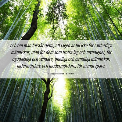 Picture 06 - 1 Timotheosbrevet 1:9 SV1917 - och om man förstår detta, att lagen är till - Bible Verse Picture
