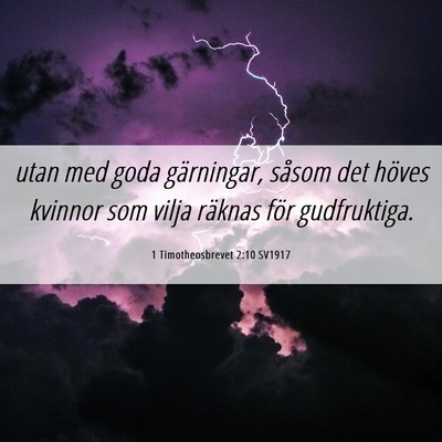 Picture 06 - 1 Timotheosbrevet 2:10 SV1917 - utan med goda gärningar, såsom det höves - Bible Verse Picture