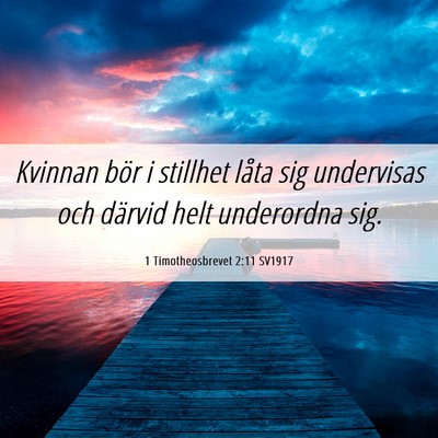 Picture 06 - 1 Timotheosbrevet 2:11 SV1917 - Kvinnan bör i stillhet låta sig undervisas och - Bible Verse Picture