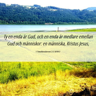 Picture 06 - 1 Timotheosbrevet 2:5 SV1917 - Ty en enda är Gud, och en enda är medlare - Bible Verse Picture