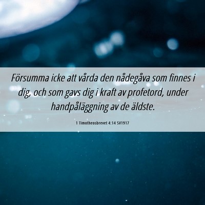 Picture 06 - 1 Timotheosbrevet 4:14 SV1917 - Försumma icke att vårda den nådegåva som - Bible Verse Picture