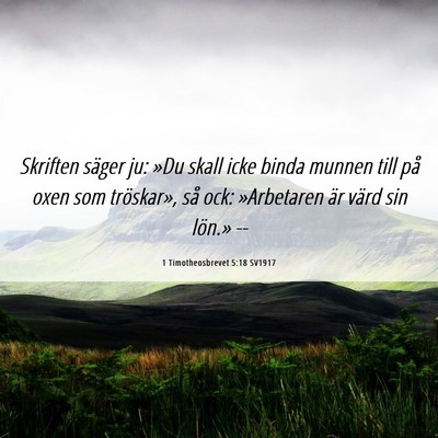 Picture 06 - 1 Timotheosbrevet 5:18 SV1917 - Skriften säger ju: »Du skall icke binda munnen - Bible Verse Picture