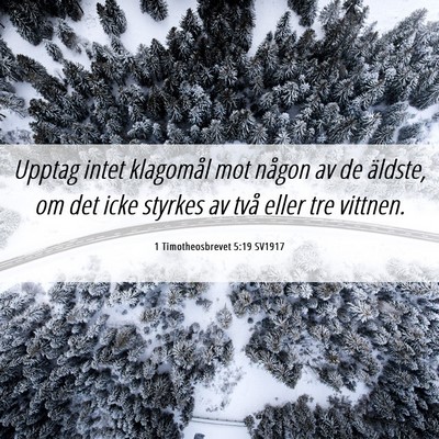 Picture 06 - 1 Timotheosbrevet 5:19 SV1917 - Upptag intet klagomål mot någon av de äldste, - Bible Verse Picture
