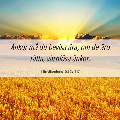 Picture 06 - 1 Timotheosbrevet 5:3 SV1917 - Änkor må du bevisa ära, om de äro rätta, - Bible Verse Picture