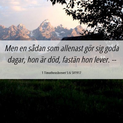 Picture 06 - 1 Timotheosbrevet 5:6 SV1917 - Men en sådan som allenast gör sig goda dagar, - Bible Verse Picture