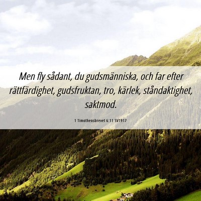Picture 06 - 1 Timotheosbrevet 6:11 SV1917 - Men fly sådant, du gudsmänniska, och far efter - Bible Verse Picture