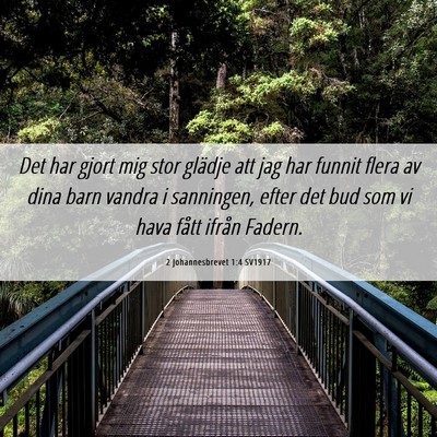 Picture 06 - 2 Johannesbrevet 1:4 SV1917 - Det har gjort mig stor glädje att jag har funnit - Bible Verse Picture