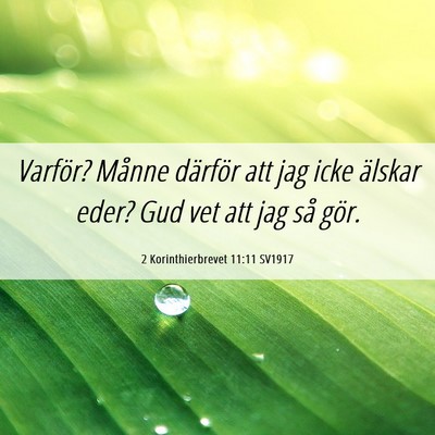 Picture 06 - 2 Korinthierbrevet 11:11 SV1917 - Varför? Månne därför att jag icke älskar - Bible Verse Picture