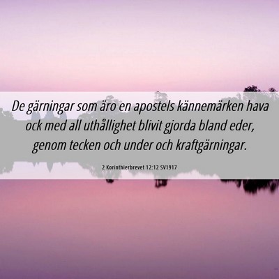 Picture 06 - 2 Korinthierbrevet 12:12 SV1917 - De gärningar som äro en apostels kännemärken - Bible Verse Picture