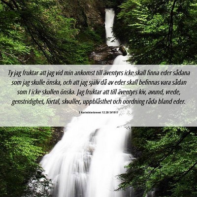 Picture 06 - 2 Korinthierbrevet 12:20 SV1917 - Ty jag fruktar att jag vid min ankomst till - Bible Verse Picture