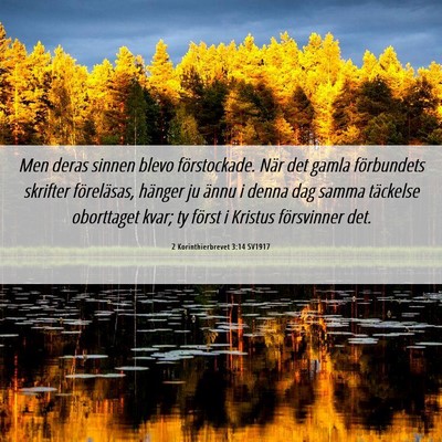 Picture 06 - 2 Korinthierbrevet 3:14 SV1917 - Men deras sinnen blevo förstockade. När det - Bible Verse Picture