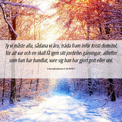 Picture 06 - 2 Korinthierbrevet 5:10 SV1917 - Ty vi måste alla, sådana vi äro, träda fram - Bible Verse Picture