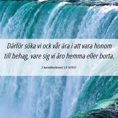 Picture 06 - 2 Korinthierbrevet 5:9 SV1917 - Därför söka vi ock vår ära i att vara honom - Bible Verse Picture