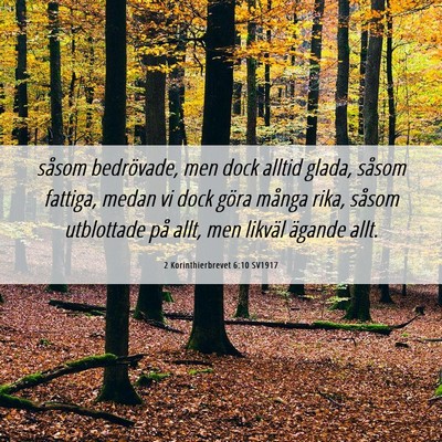 Picture 06 - 2 Korinthierbrevet 6:10 SV1917 - såsom bedrövade, men dock alltid glada, såsom - Bible Verse Picture