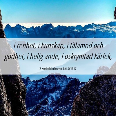 Picture 06 - 2 Korinthierbrevet 6:6 SV1917 - i renhet, i kunskap, i tålamod och godhet, i - Bible Verse Picture