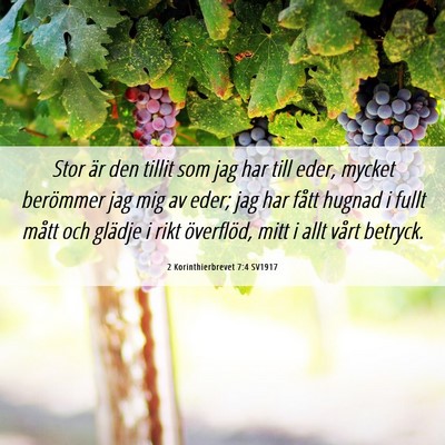 Picture 06 - 2 Korinthierbrevet 7:4 SV1917 - Stor är den tillit som jag har till eder, mycket - Bible Verse Picture