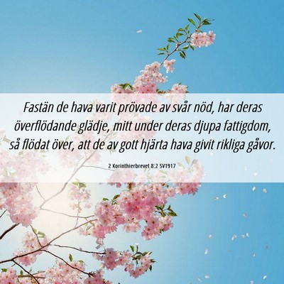Picture 06 - 2 Korinthierbrevet 8:2 SV1917 - Fastän de hava varit prövade av svår nöd, har - Bible Verse Picture