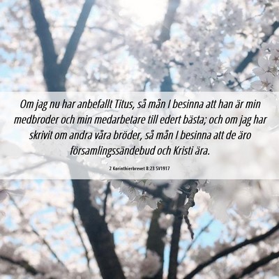 Picture 06 - 2 Korinthierbrevet 8:23 SV1917 - Om jag nu har anbefallt Titus, så mån I besinna - Bible Verse Picture