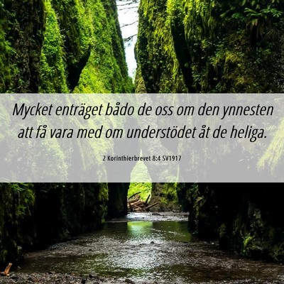 Picture 06 - 2 Korinthierbrevet 8:4 SV1917 - Mycket enträget bådo de oss om den ynnesten att - Bible Verse Picture