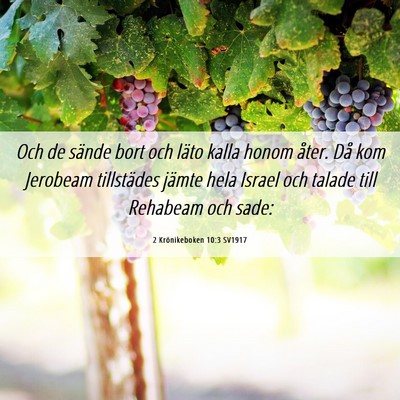 Picture 06 - 2 Krönikeboken 10:3 SV1917 - Och de sände bort och läto kalla honom åter. - Bible Verse Picture