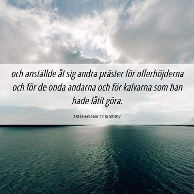 Picture 06 - 2 Krönikeboken 11:15 SV1917 - och anställde åt sig andra präster för - Bible Verse Picture